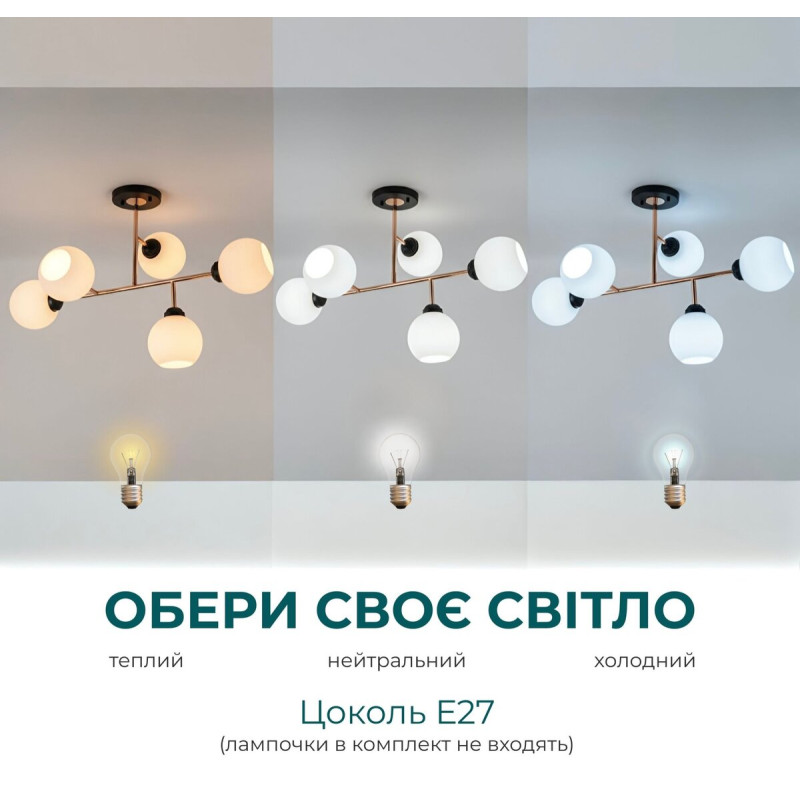 L0006-5 BK+FGD