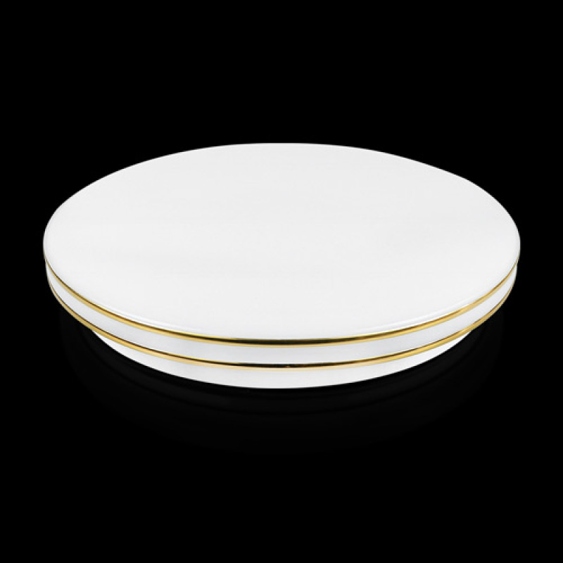 Декоративная лента DS-R260-03-2G к светильнику DEL-R-20-18-4 DIY( 2 полоски серебро)