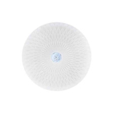 Світлодіодний світильник стельовий RADIUS-36