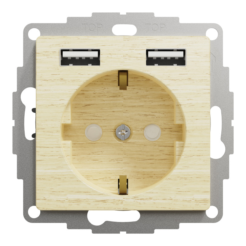 Розетка з заземленням + 2 х USB типу А, Береза Sedna Elements